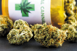 Pink Runtz Weed Strain