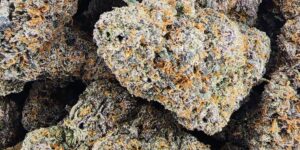 Pink Runtz Weed Strain