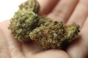 Super Boof Strain