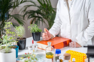 How To Make Tincture Of Cannabis
