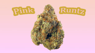 Pink Runtz Weed Strain