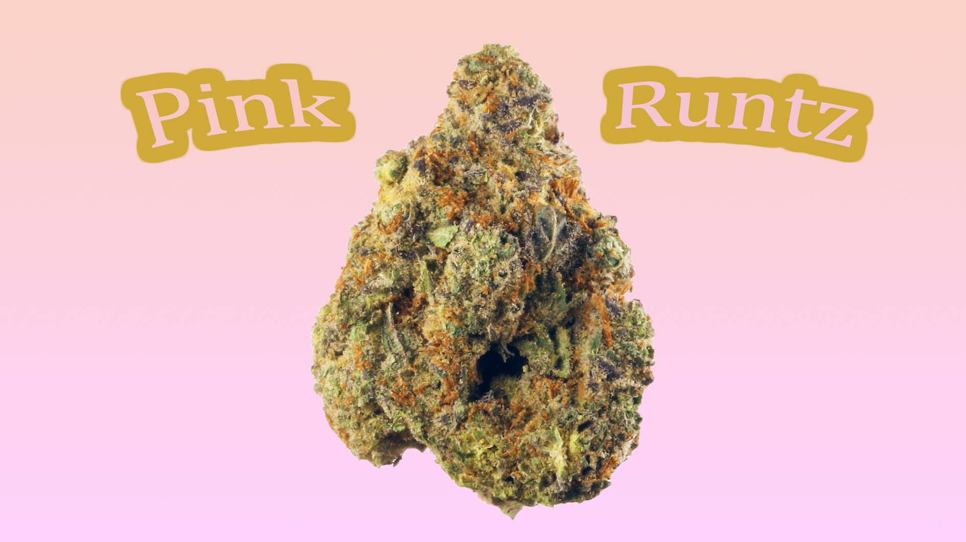 Pink Runtz Weed Strain