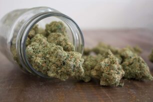 Zoap Strain